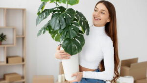 Read more about the article 6 неприхотливых комнатных растений, за которыми не нужно ухаживать