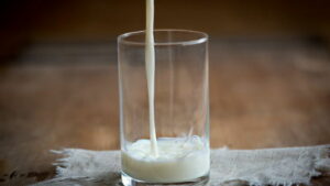 Read more about the article Какое молоко самое полезное