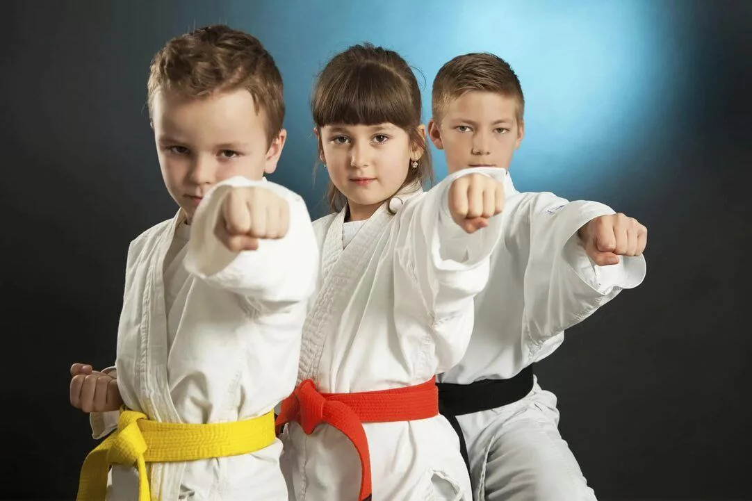 Read more about the article Сила и гармония: боевые искусства для детей