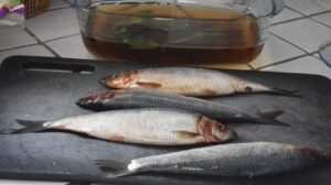 Read more about the article Лучшие рецепты приготовления свежей рыбы